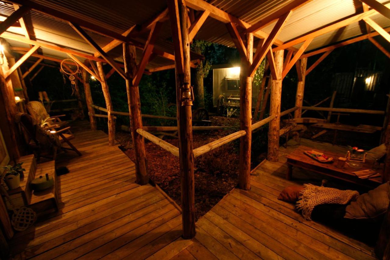 Bamboo *