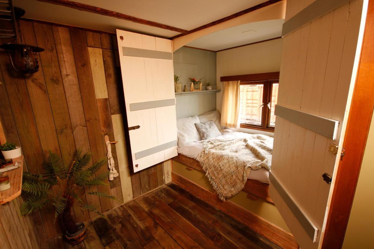 Bed & Breakfast Bamboo Groningen