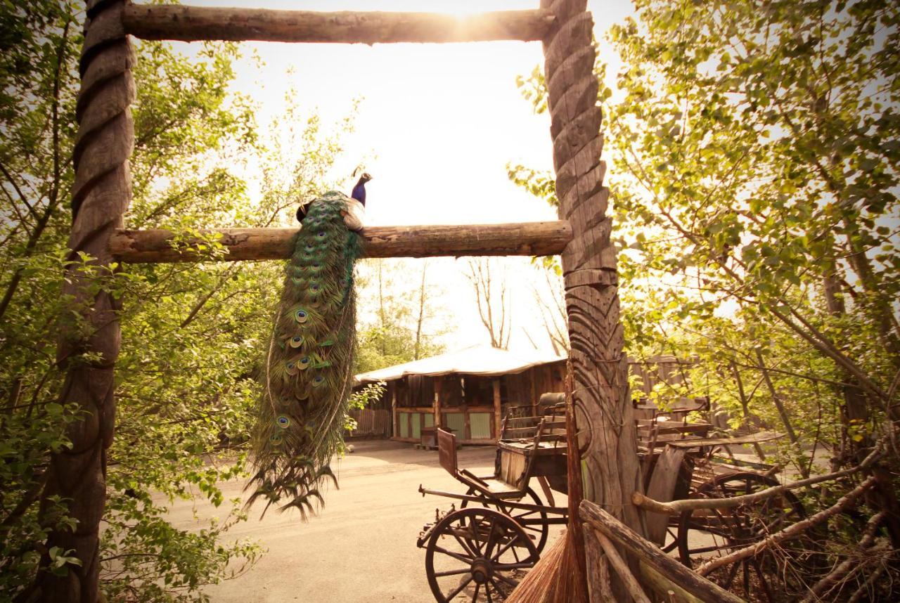 Bed & Breakfast Bamboo Groningen
