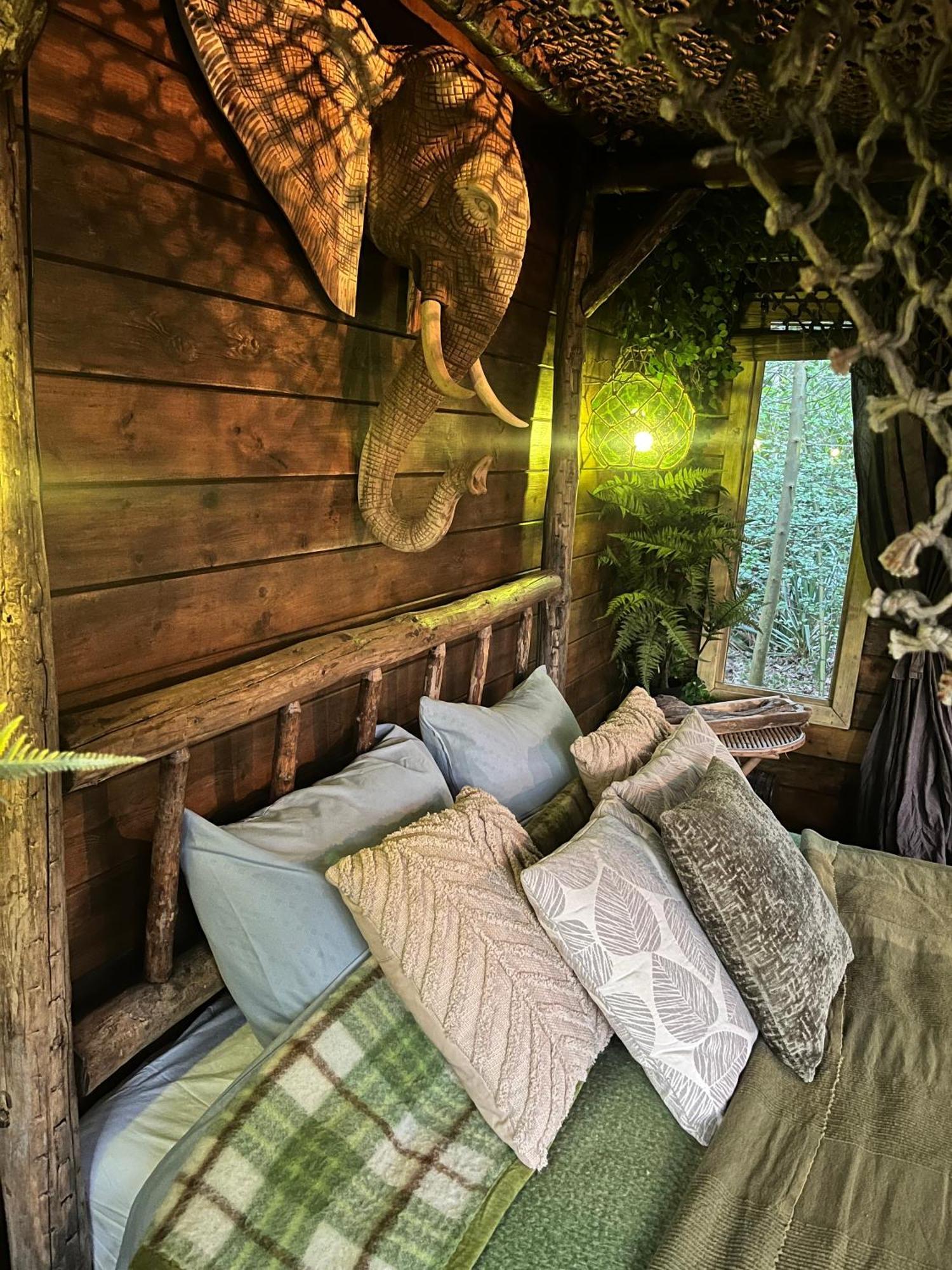 Bed & Breakfast Bamboo Groningen